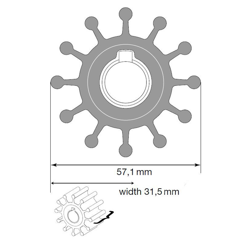 Johnson Impeller