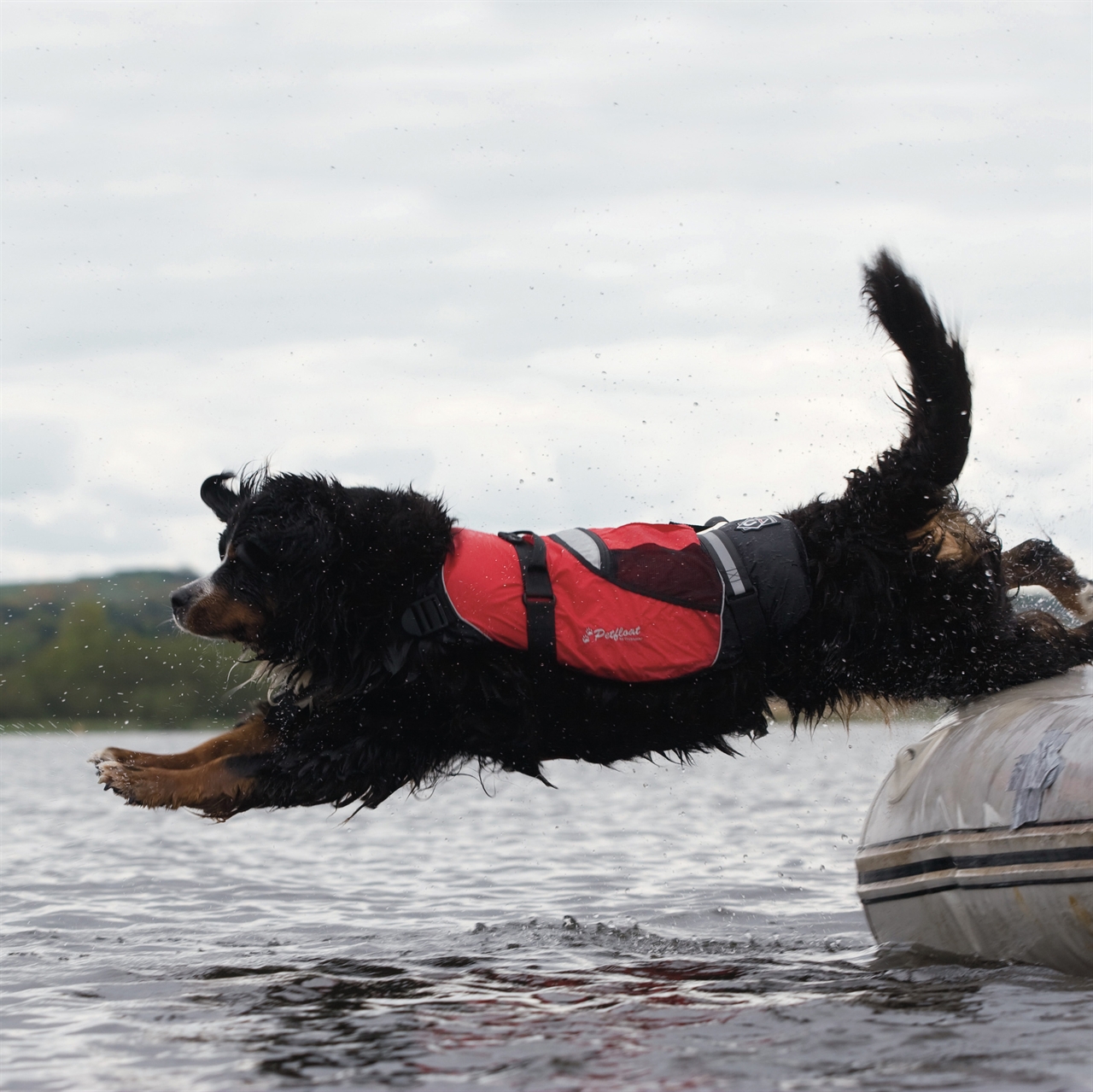 Crewsaver Hundeweste Größe XS, rot/schwarz, 24 - 30 cm, 2370-XS