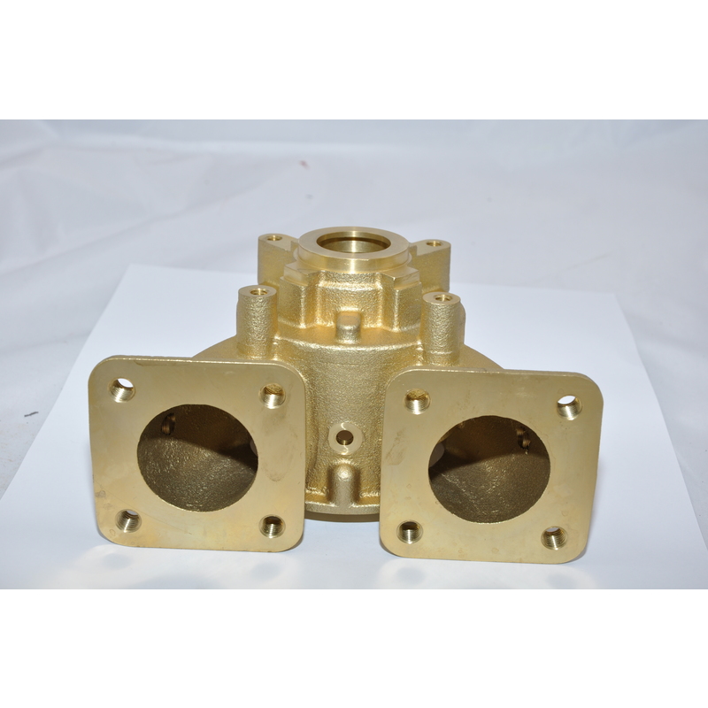 Johnson Pumpengehäuse F8B-